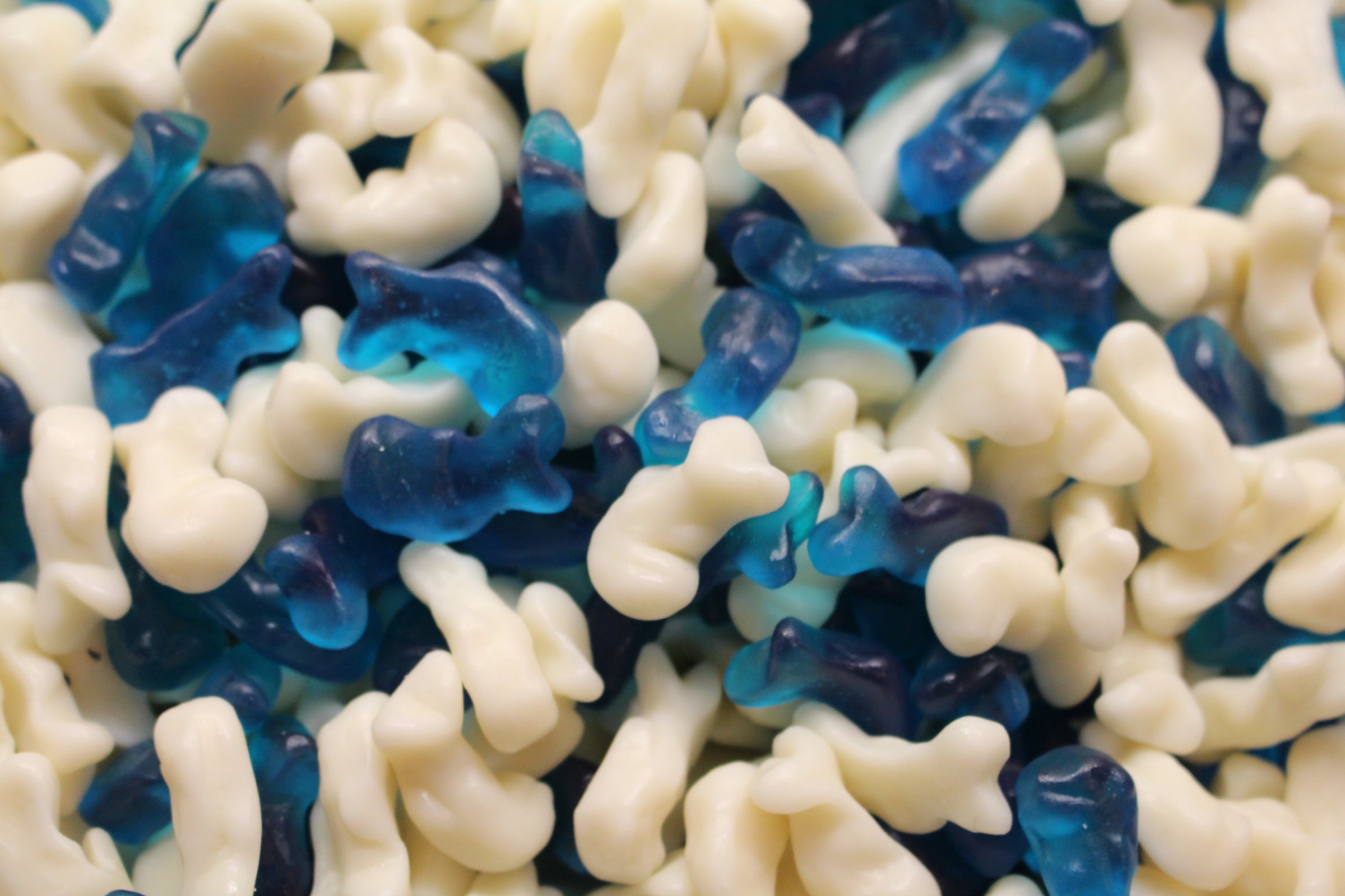 Kingsway Baby Dolphins 100grams